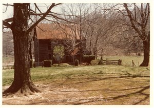 Image description is not available for PHO-4-W689-1182